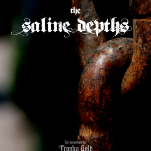 The Saline Depths (PDF)